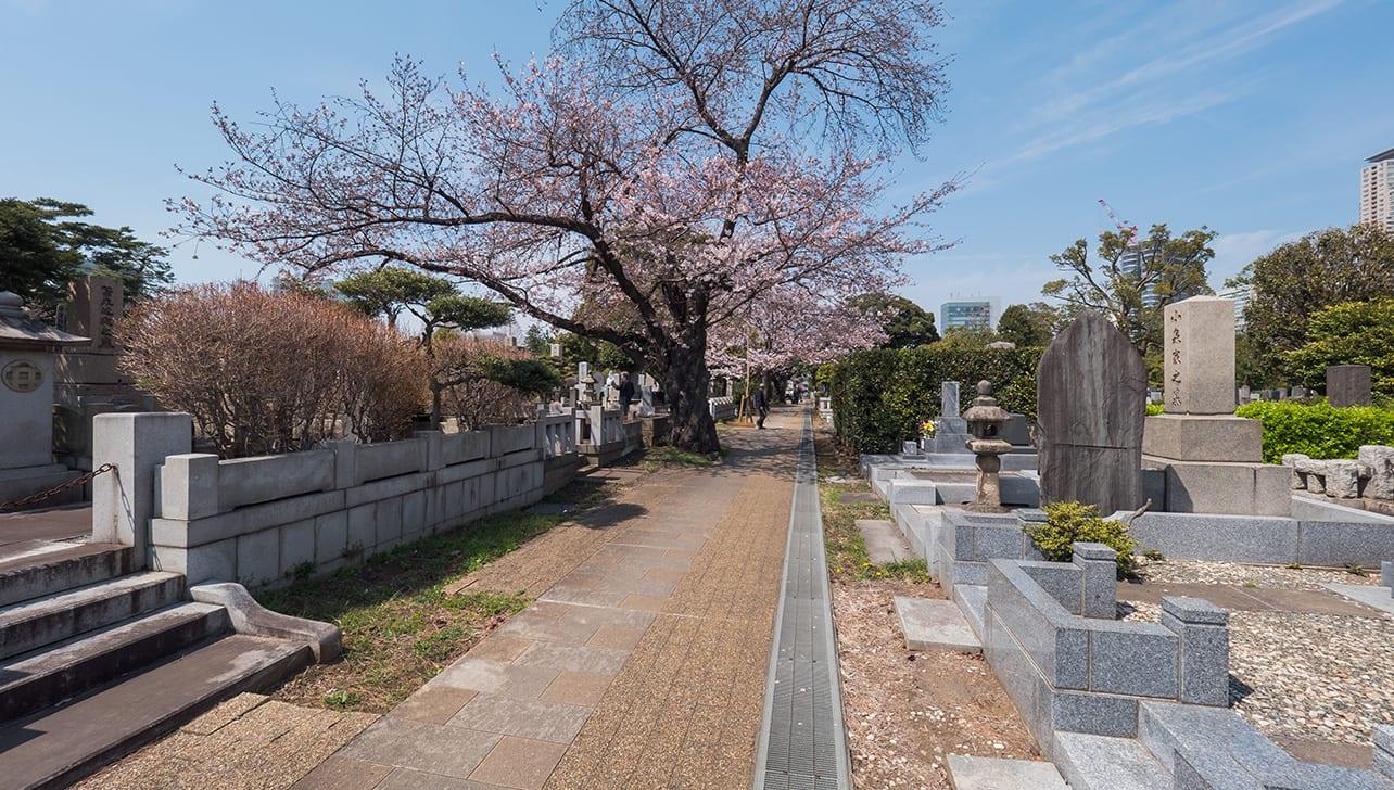 お墓（墓地）の種類に関する基礎知識 | お仏壇のはせがわ【公式】