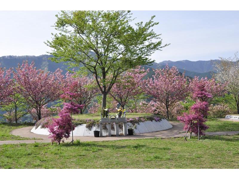 奥多摩 霊園 送迎 安い バス