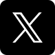 X icon